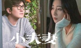 网红夫妇爆料视频大全最新,揭秘娱乐圈幕后真相